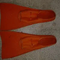 فین شنا