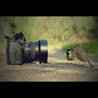 مدل بارداری برای لباس
