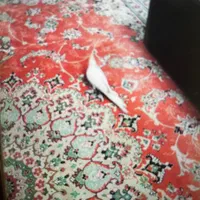 ۱ تخته ۱۲ متری دو تخته ۹ متری ۲ تخته ۶ متری|فرش|کرج, شهرک آسمان|دیوار