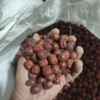 اناب امسالی|خوردنی و آشامیدنی|درمیان, |دیوار