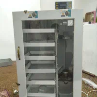 دستگاه جوجه کشی