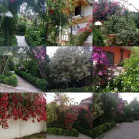 فروش ویلا اوایل دالخانی  (کلا یه بن)|فروش خانه و ویلا|دالخانی, |دیوار