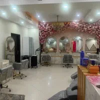 ادمین حرفه ای و باتجربه