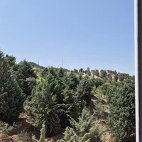 آپارتمان، شیان۱۶۲متر تکواحدی|فروش آپارتمان|تهران, بوستان شیان|دیوار