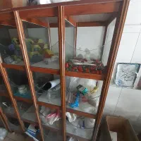 قفسه شکلات|فروشگاه و مغازه|اصفهان, سودان|دیوار