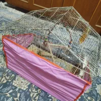 قفس|لوازم جانبی حیوانات|نیشابور, شهید جعفری|دیوار