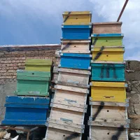 کندو خالی و طبق