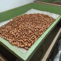 فروش فندق پاکسازی شده بدون خرابی و پوچی و سیاهی