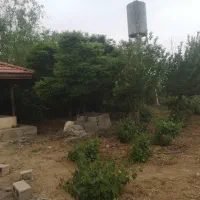 فروش باغ شهری بابهترین لوکیشن واقع در کلستان|فروش زمین و ملک کلنگی|شیراز, گلستان|دیوار