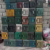 فروش سبد 25 کیلو در حد نو