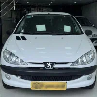 206تیپ ۲بی رنگ شاسی پلمپ