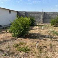 فروش ملک|فروش خانه و ویلا|چغادک, |دیوار