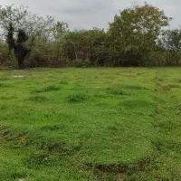 340 متر زمین شهری 220 متر حریم در اختیار رودخونه|فروش زمین و ملک کلنگی|گوراب زرمیخ, |دیوار