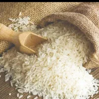 برنج کشت دوم