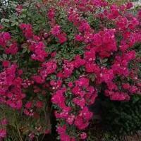 اموزش یوتویوب