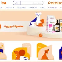طراحی وب سایت حرفه ای و 3بعدی