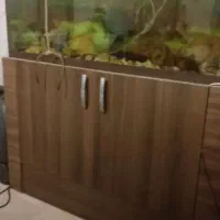 آکواریوم سالم