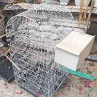 قفس پرنده مخصوص عروس هلندی