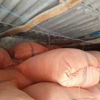 کاه تمیز امسال، شلیف گرفته شده ،کیلویی۱۸۰۰۰ تومان|حیوانات مزرعه|چرام, |دیوار