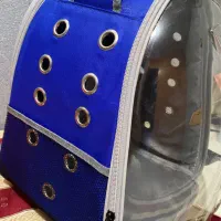 پت پرشین|گربه|رشت, یخسازی|دیوار