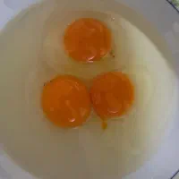 تخم مرغ محلی گلپایگان ارگانیک( سرشار از ای سلنیوم)