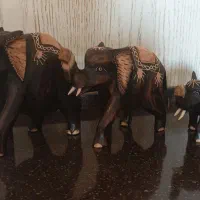 دکوری چوبی|مجسمه، تندیس، ماکت|تهران, اختیاریه|دیوار