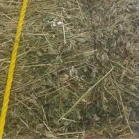 پرس یونجه ( بیده)