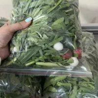 سبزی خوردن پاک شده تمیز