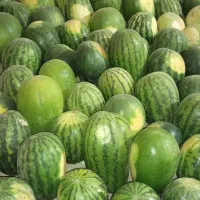 هندوانه|خوردنی و آشامیدنی|طاغنکوه, |دیوار