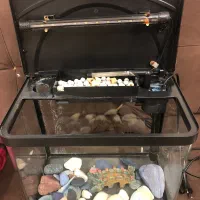 آکواریوم با تمام تجهیزات