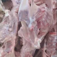 اسکلت مرغ به صورت تازه و منجمد