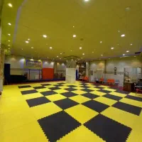 باشگاه ایروبیک بانوان