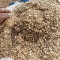 کاه گندم