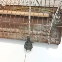 المنت