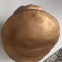 مجستمه اسکلت ارزان|مجسمه، تندیس، ماکت|نسیم‌شهر, |دیوار