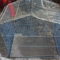 قفس پرنده|لوازم جانبی حیوانات|تربتحیدریه, مظفریه|دیوار