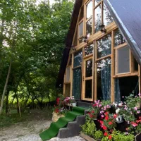 کلبه جنگلی و ویلا استخردار و بدون استخر|اجارهٔ کوتاه‌مدت ویلا و باغ|ماسال, |دیوار