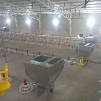 دانخوری بشقابی و آبخوری نیپل