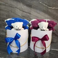 بوکت عروسکی اماده|اسباب‌‌بازی|کرمانشاه, |دیوار