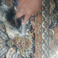 رفوگری وتعمیرات فرش دستی وماشینی تخصص در ماشینی|خدمات پیشه و مهارت|مشهد, فلسطین|دیوار