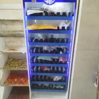 شادگان