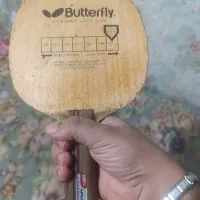 راکت پینگ پنگ باترفلای|ورزش‌های توپی|اهواز, فاز ۱ پادادشهر|دیوار