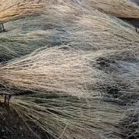 جارو|لوازم نظافت|فیروزآباد (آذربایجان), |دیوار