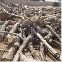 خرید وفروش وبرش انواع چوب