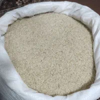 برنج دم سیاه رودبار