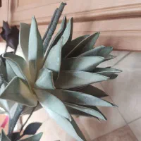 گل وگلدون.|گل مصنوعی|ارومیه, |دیوار