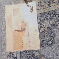 فرش ۹ متری|فرش|گلستان (تهران), |دیوار
