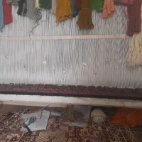 دارقا لی