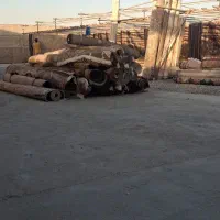 (قالیشویی بزرگ نعمت)      (فقط پاکدشت)|خدمات نظافت|پاکدشت, پاکدشت (مامازند)|دیوار