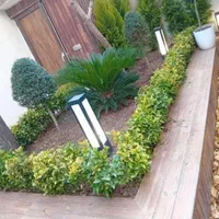 خدمات کشاورزی.باغبانی‌گل کاری.تعویض خاک و گلدان|خدمات باغبانی و درختکاری|بیرجند, |دیوار